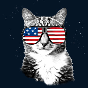 Cat-USA-tshirt